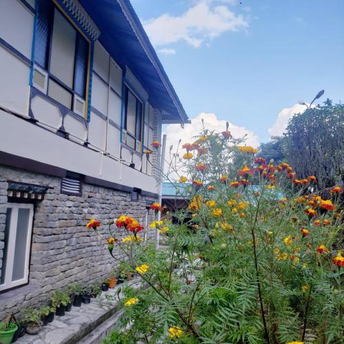 The Nettle and Fern Farmstay