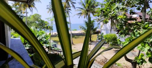 Marari sibiya beach villa