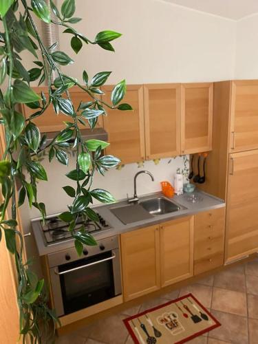 Monte Amaro Apartment con camino, terrazzo e giardino in Campo Di Giove