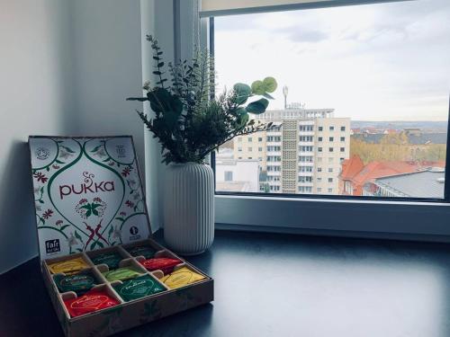 Apartment mit Penthouse Charakter in Dresden, Drážďany (fotografie 8)