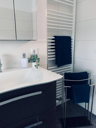 Apartment mit Penthouse Charakter in Dresden