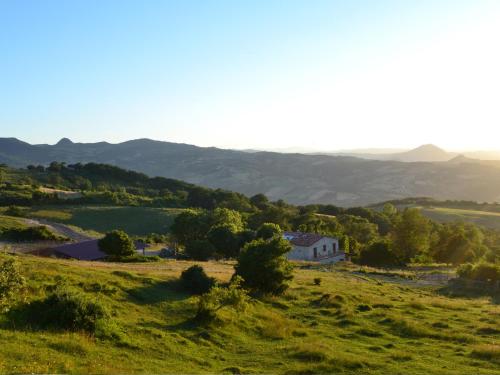 Fattoria Bio L'A Ceccoli