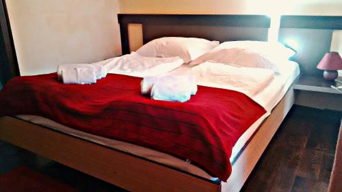 1 king bed