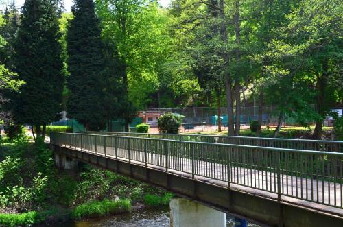 Sport Hotel Gejzirpark - image 3