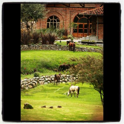 Hosteria Caballo Campana