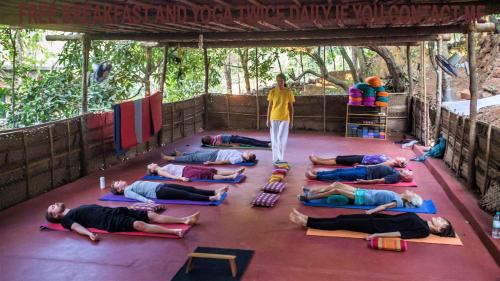 Namaste Yoga Farm