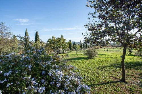 Celestina- Agriturismo La Valentina