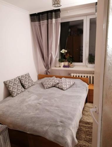 Apartament Jarosław na wyłączność - Apartment - Jarosław