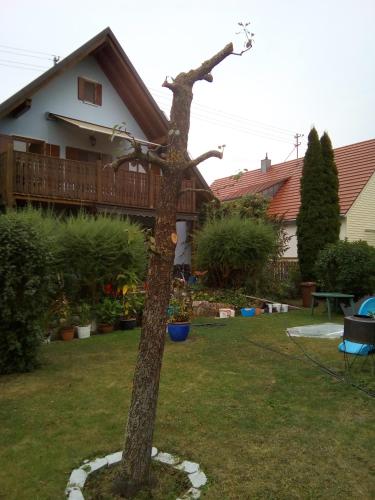 Villa Blue 2