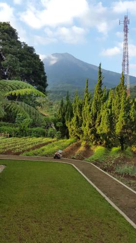Villa gunung salak indah
