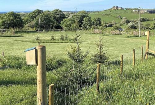 Stunning Cottage in Holyhead