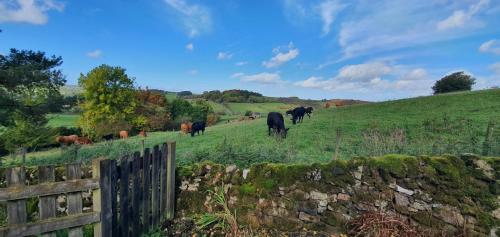 ทัศนียภาพ, Westdale Cottage, Elton in the Peak District in เอลตัน