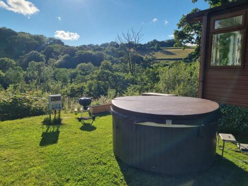Exe Valley Lodge - image 14