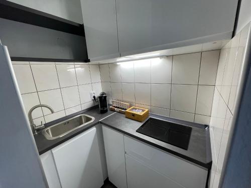 Messeapartment Wöhrder See, Núremberg (foto 7)