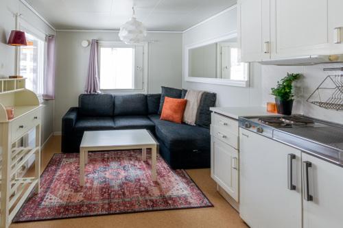 廚房, Aurora River Camp Glass igloos & cabins in 基律納市中心