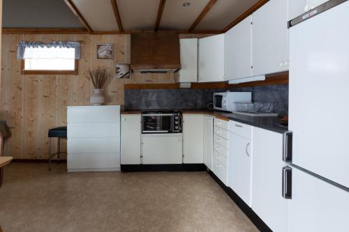 廚房, Aurora River Camp Glass igloos & cabins in 基律納市中心