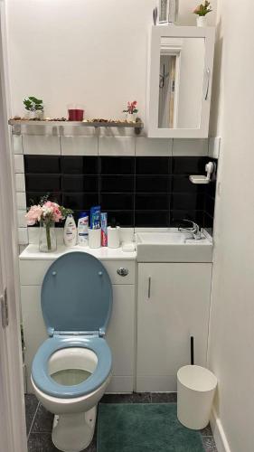 Lovely apartment close to Acton central station - main image