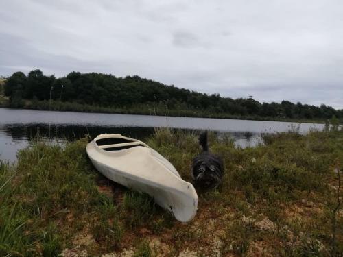 Cabaña junto al lago en granja agroecologica