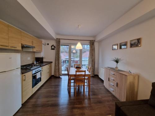 Avram Iancu Private Apartment with AC - image 3