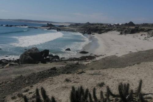 Cabaña Independiente Punta de Choros (Cabana Independiente Punta de Choros) in Punta De Choros