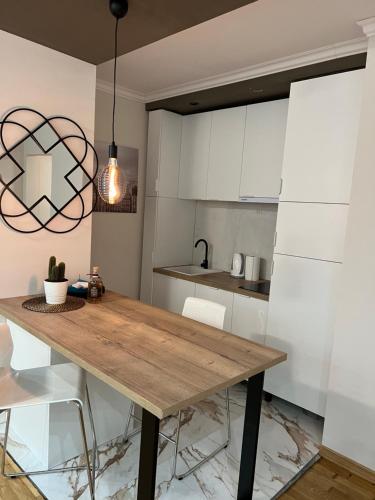 One-Bedroom Apartment image 10