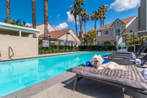 Sonesta ES Suites Huntington Beach Fountain Valley