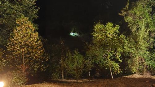 Il Mastro del Lago in Castel Di Tora