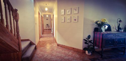 Buitenkant, LittleField B&B Durrow, Laois in Durrow