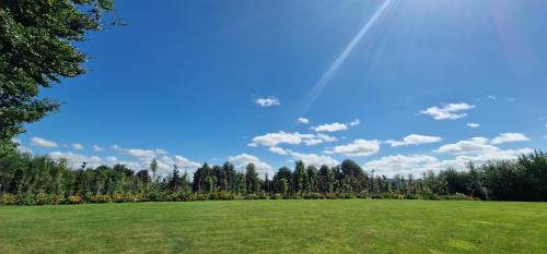 tuin, LittleField B&B Durrow, Laois in Durrow