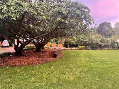 The Mulberry Cottage