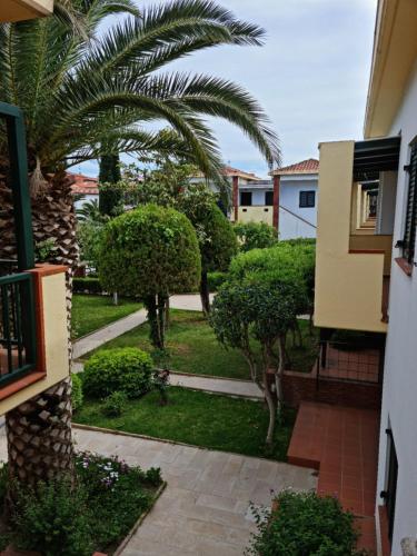  Elia Apartments in Afytos