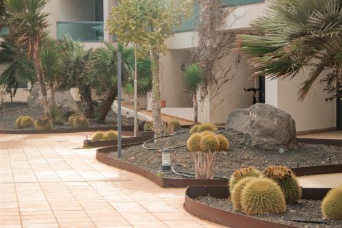 Casa Aloe Vera, Fuerteventura - 2025 Reviews, Pictures & Deals