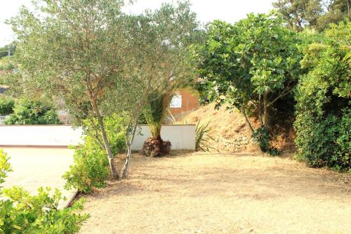 Apartment with Mountain View room in Private Apartments Cala Canyelles