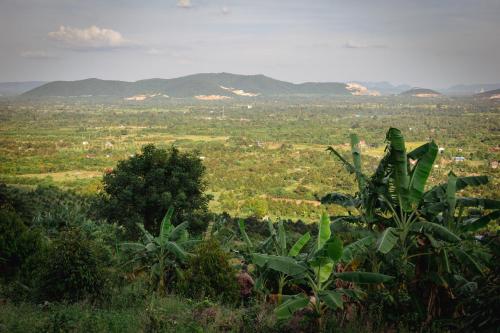 Kampot Tropical Village