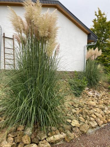 Ferienhaus Naturblick