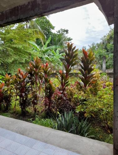 Duma Hostel, Dumaguete (foto 4)