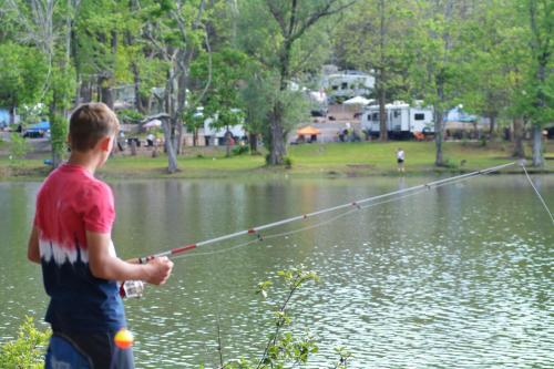 Lakewood Park Campground - Luxury Cabin