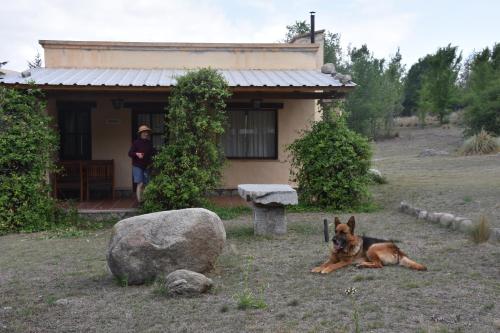 Cabañas Río Molle