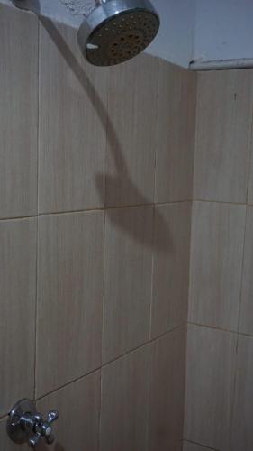 Rose Homestay - image 4