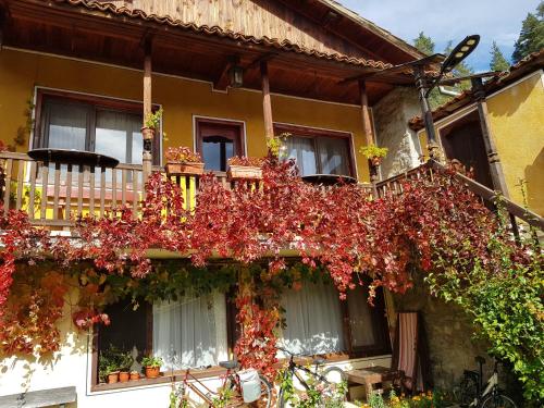 Dona Guest House - Horse Riding - image 14