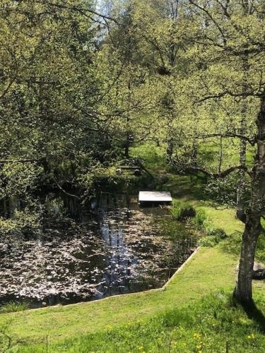 Exklusives Apartment mit Schwimmbad im Allgäu