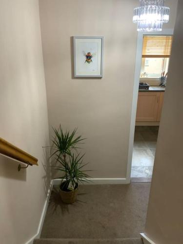 Home from home, 3 bedroom house in Hawick in هاويك