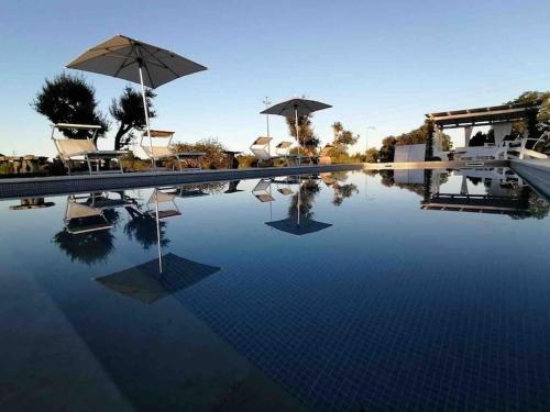 TRULLI TERRA DI MEZZO