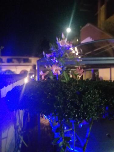 EneaHouse - image 10