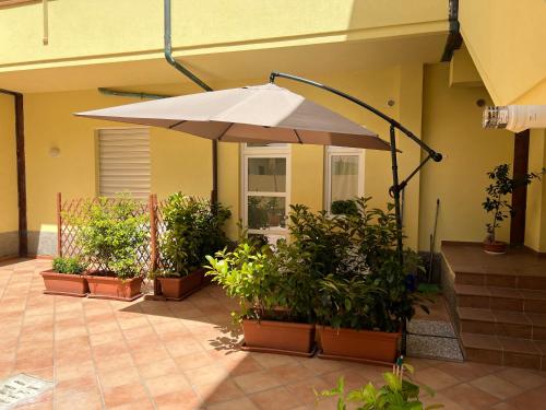  Carolina Apartments - Bilocale in Capo dʼOrlando