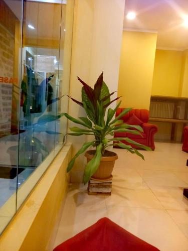 Hotel REY DAVID - image 4