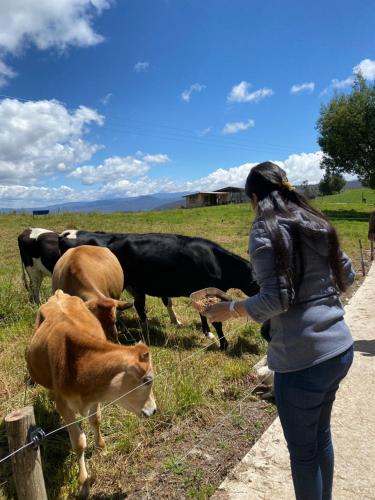 El Prado Glamping