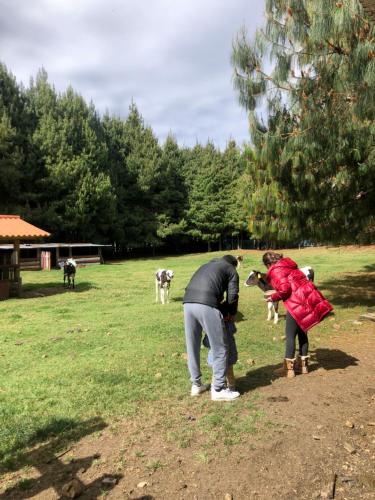 El Prado Glamping