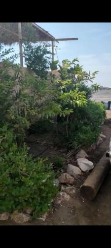 Garden, Beyout Guest Houses in Manah