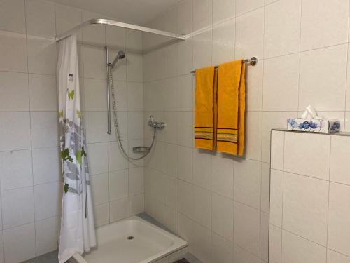 دش, Ferienwohnung in Tschlin mit Panoramablick in Vna